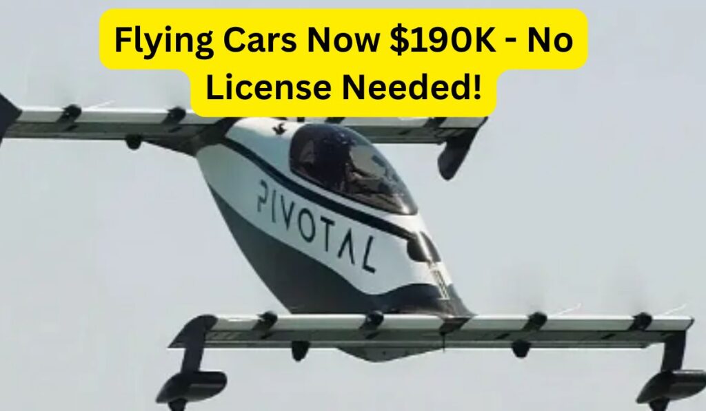 Flying car advertisement with price
